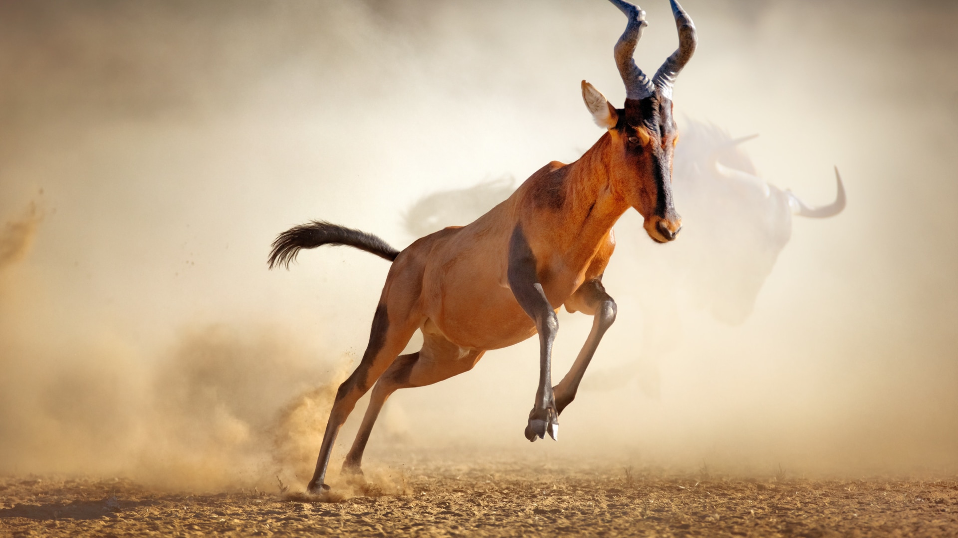 Namibia Querbeet Rundreise